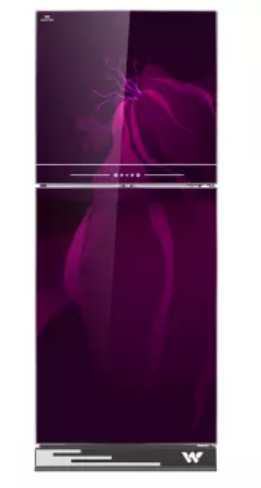 ডাইরেক্ট কুল রেফ্রিজারেটর DS-HADCR-216