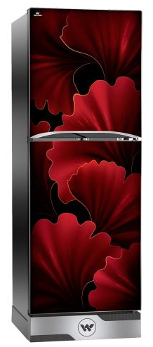 ডাইরেক্ট কুল রেফ্রিজারেটর DS-HADCR-155