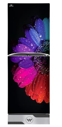 ডাইরেক্ট কুল রেফ্রিজারেটর DS-HADCR-167