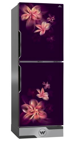 ডাইরেক্ট কুল রেফ্রিজারেটর DS-HADCR-168