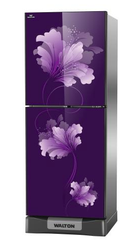 ডাইরেক্ট কুল রেফ্রিজারেটর DS-HADCR-166