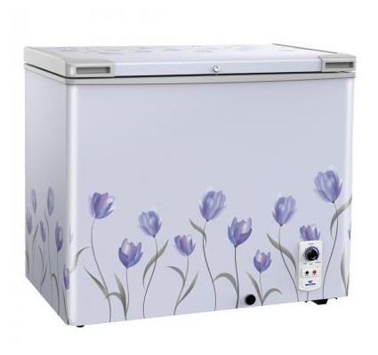 ফ্রিজার (ডিপ) DS-HADFDC-109