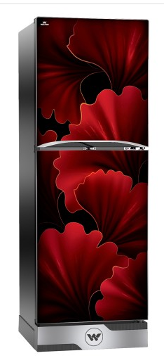 ডাইরেক্ট কুল রেফ্রিজারেটর DS-HADCR-156