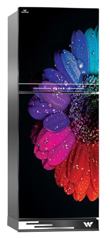 ডাইরেক্ট কুল রেফ্রিজারেটর DS-HADCR-215